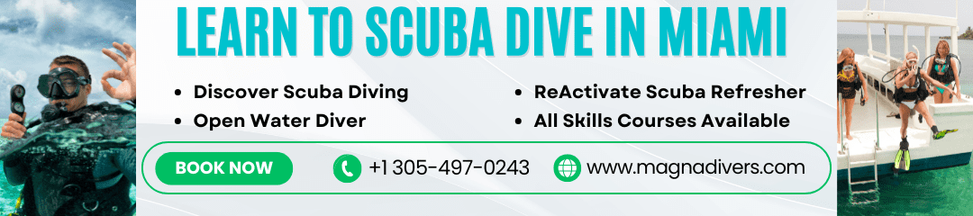 Learn to scuba dive in miami (1080 x 240 px)
