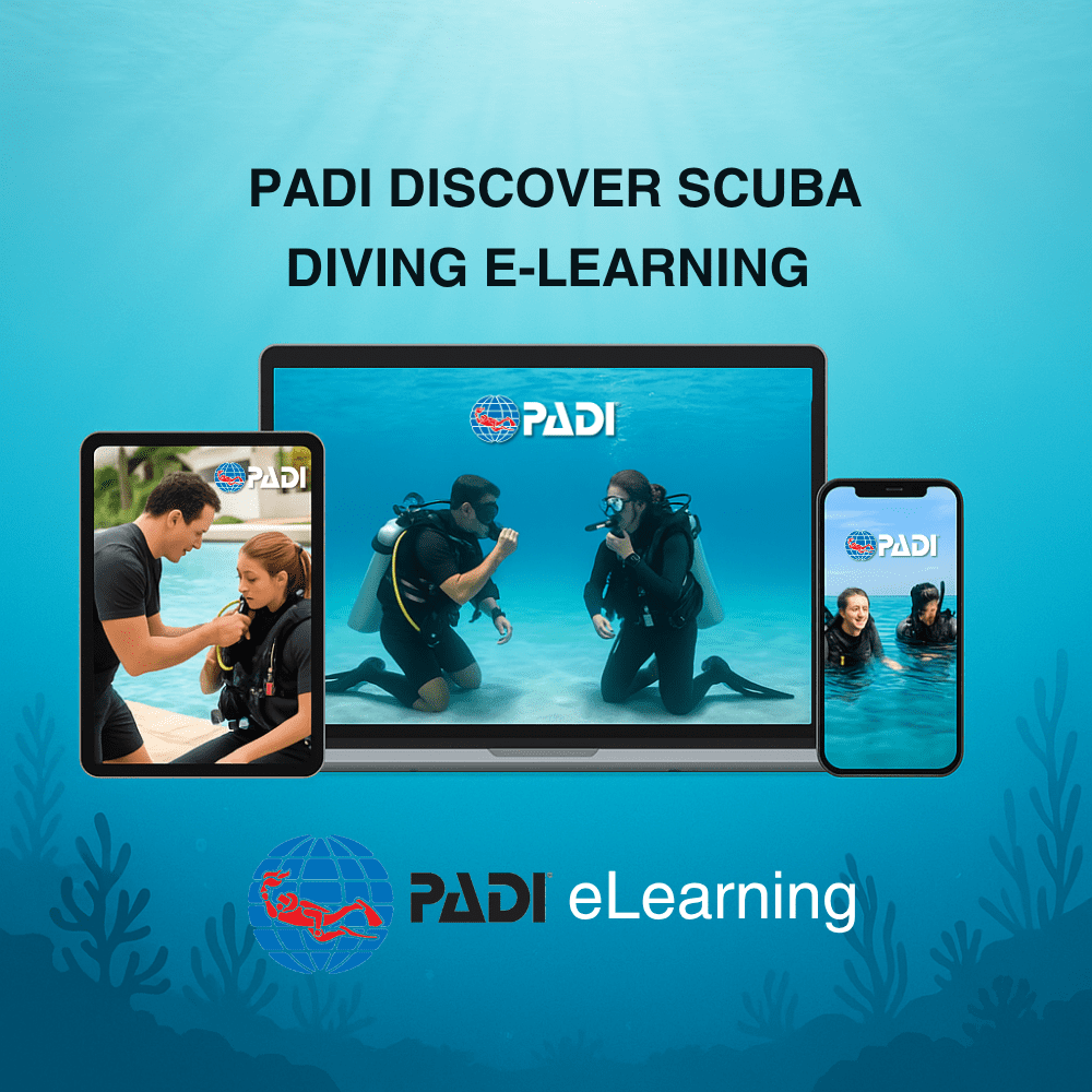 discover scuba diving elearning course magnadivers